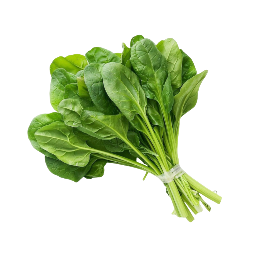 Bayam